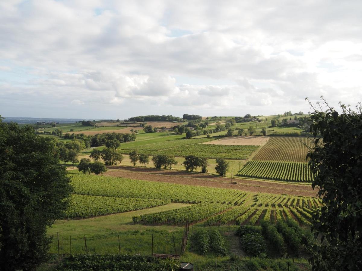 Le Mas De Doat, Gite De Charme 4 Etoiles Dans Le Triangle D Or Proche Gaillac Et Albi Senouillac المظهر الخارجي الصورة